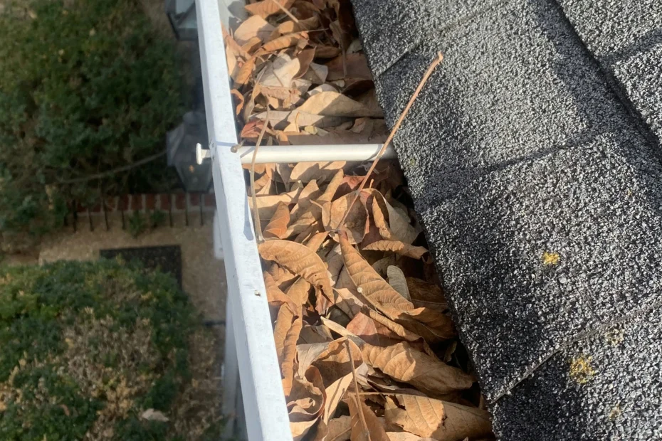 Gutter Cleaning Land O' Lakes