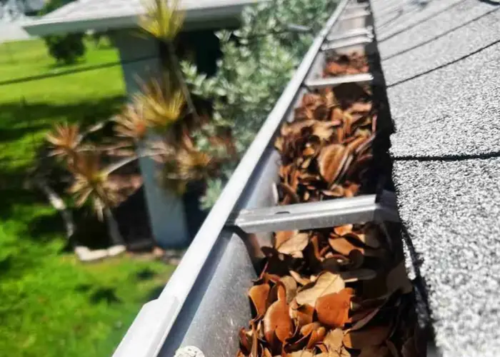 Gutter Cleaning Land O' Lakes home page